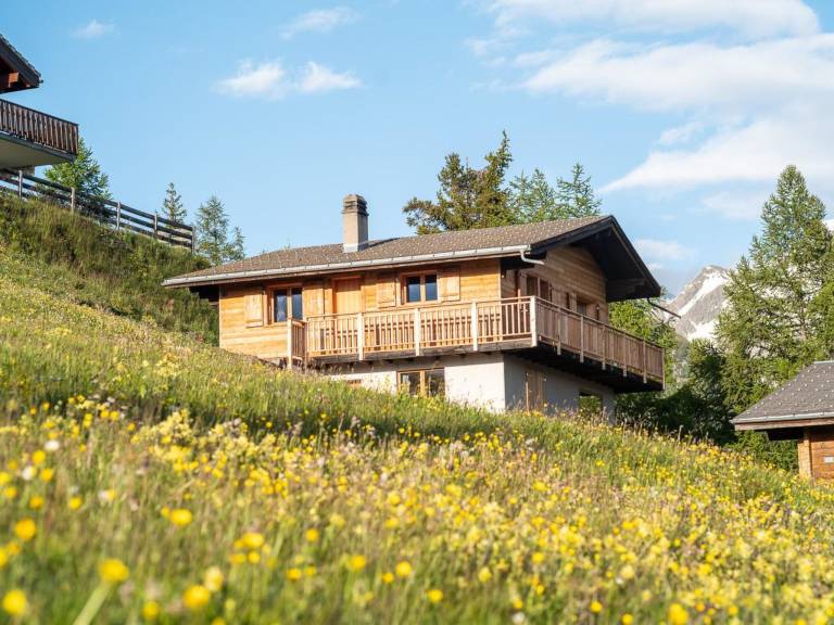 Apartment  Riederalp