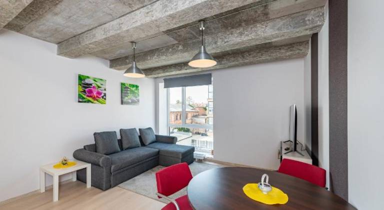 Nice holiday apartment | Pets are welcome in Kaunas