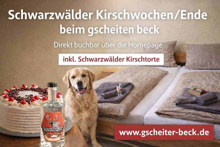 Apartment 'Schwarzwälder Hirsch' with Wi-Fi — photo 2