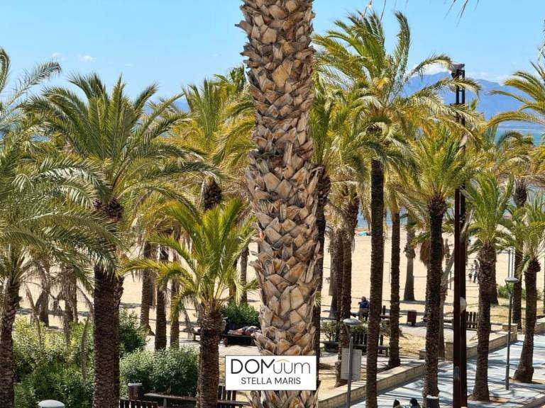 Beautiful holiday apartment | Close to the beach | Pet-friendly — photo 3