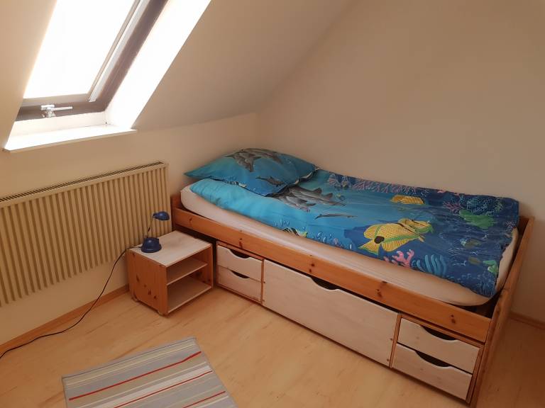 foto7