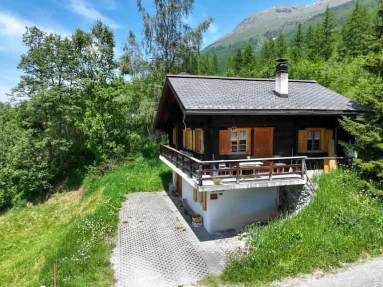 Maison de vacances Zinal