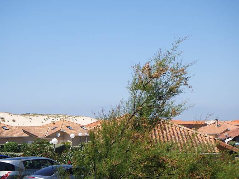 Cozy apartment for 6 near dunes, Biscarrosse Beach — photo 3