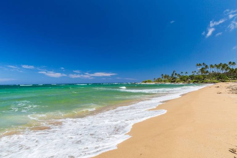 Condo Kapaa