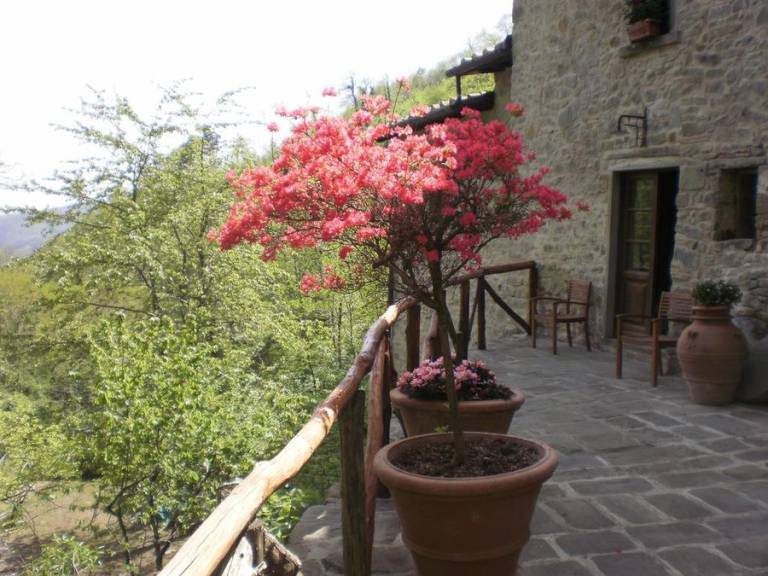 Camera privata Marliana