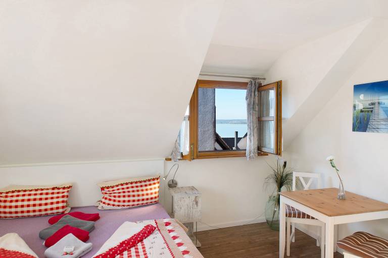Dedicated room with fast internet | City view | Pets are welcome — photo 5
