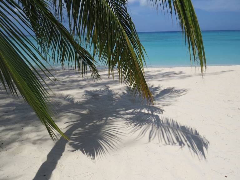 Condo Seven Mile Beach