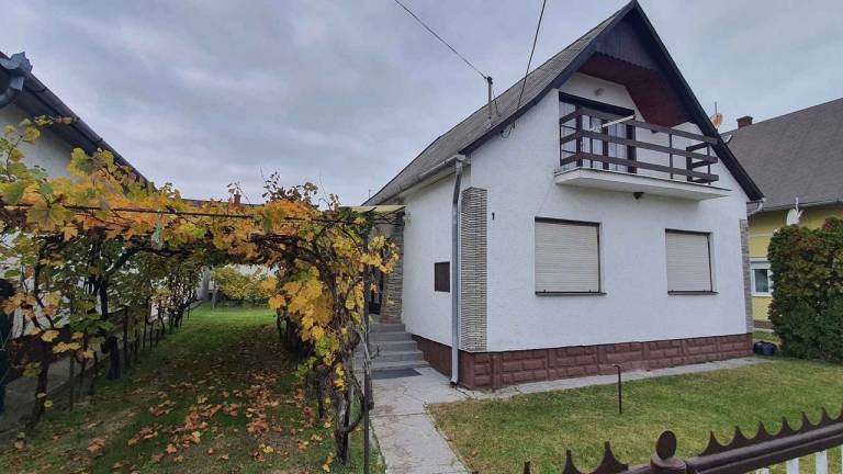Ferienhaus Balatonfenyves