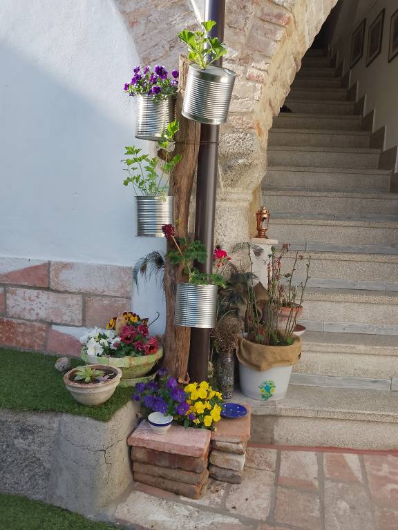 foto1