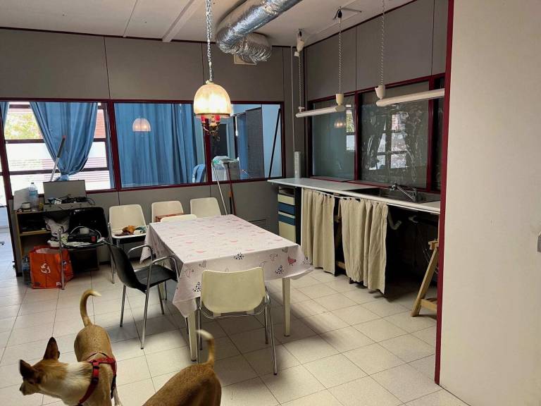 Apartment Sabadell