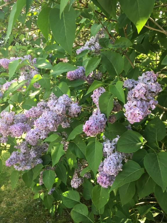 foto20