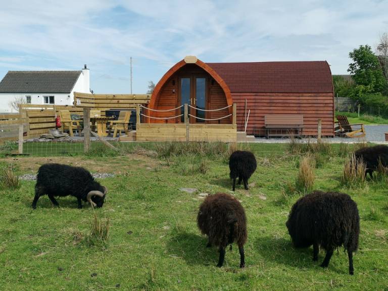 Cabin The Highlands