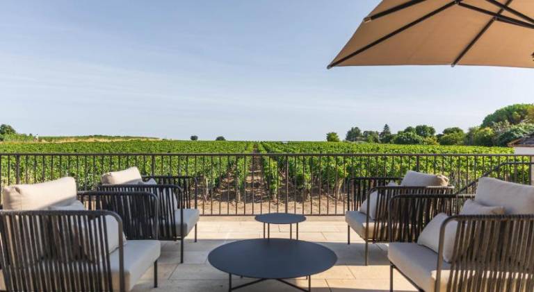 La Villa des Vignes — photo 3