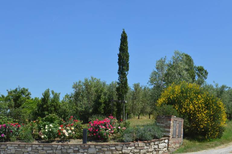 foto2