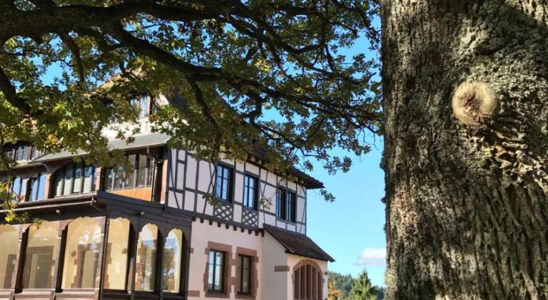 foto23