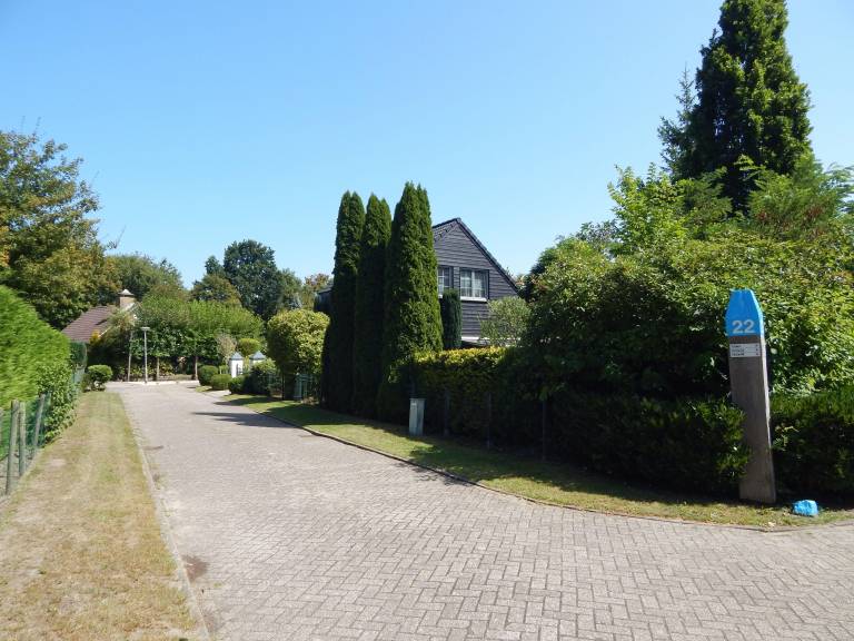 foto2