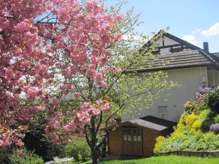 Privatzimmer  Lauterbach