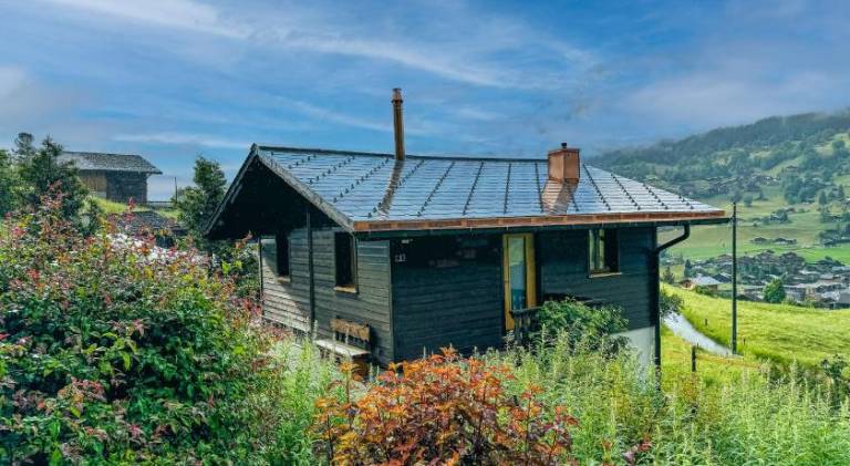 Chalet with 1 room for 2 persons in Interlaken