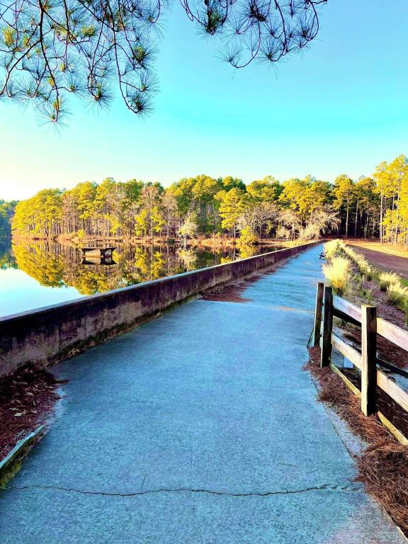 House  Southern Pines