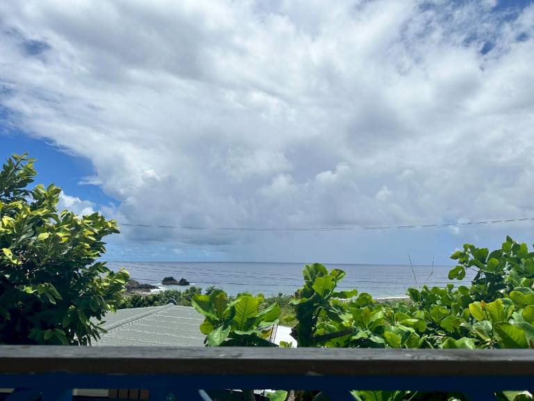 Wayofsea-Lanyu Dongqing Seaview Hostel — photo 2
