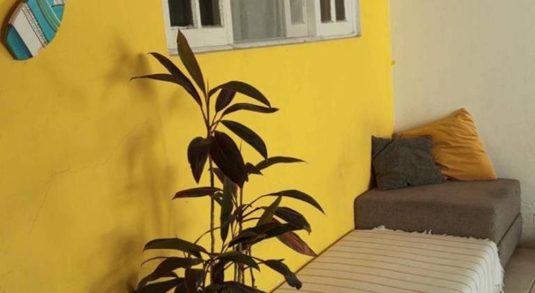 Quarto 1 economico Centro Itajai — photo 4