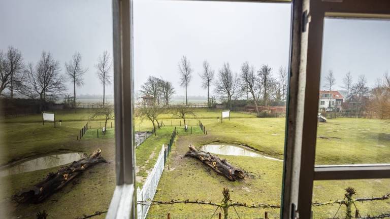 Ferienhaus Vrouwenpolder