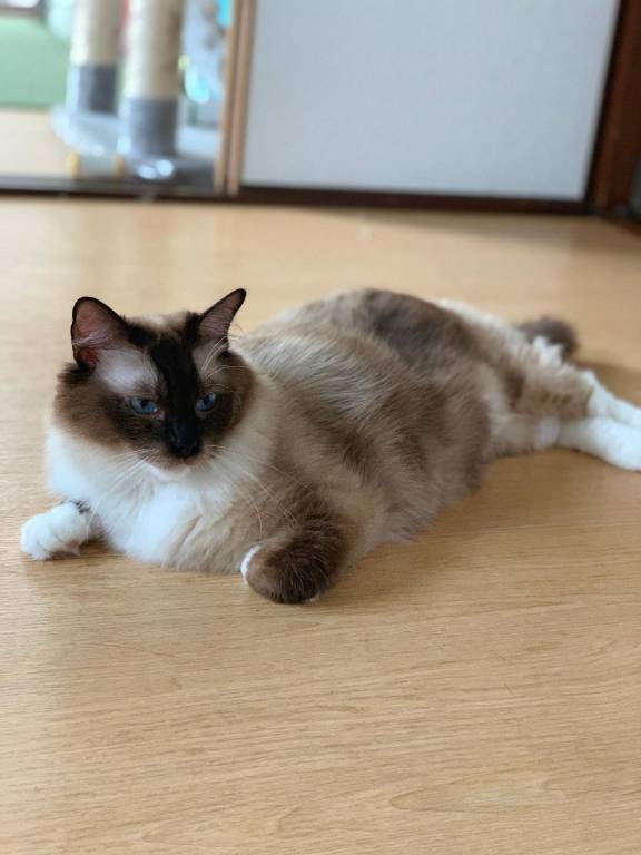 foto29