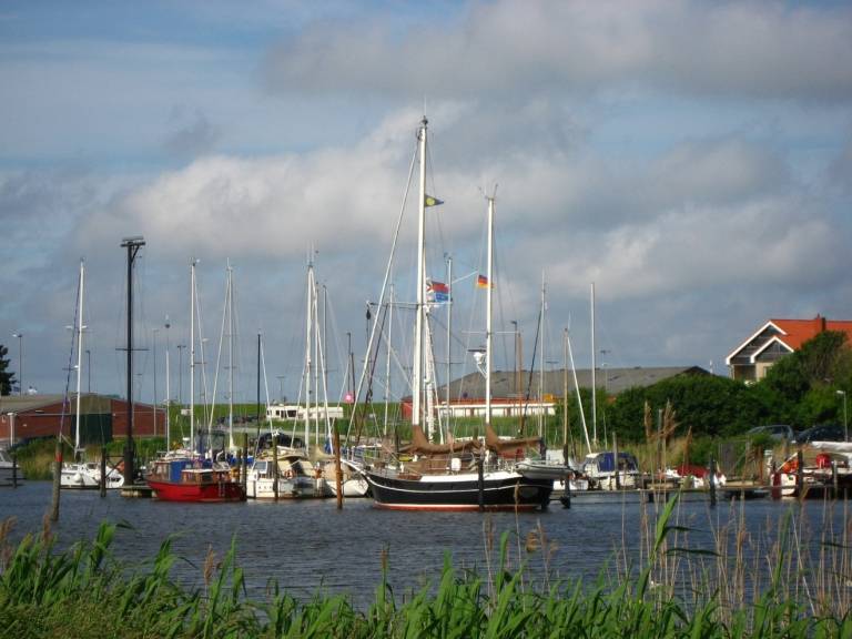 foto11