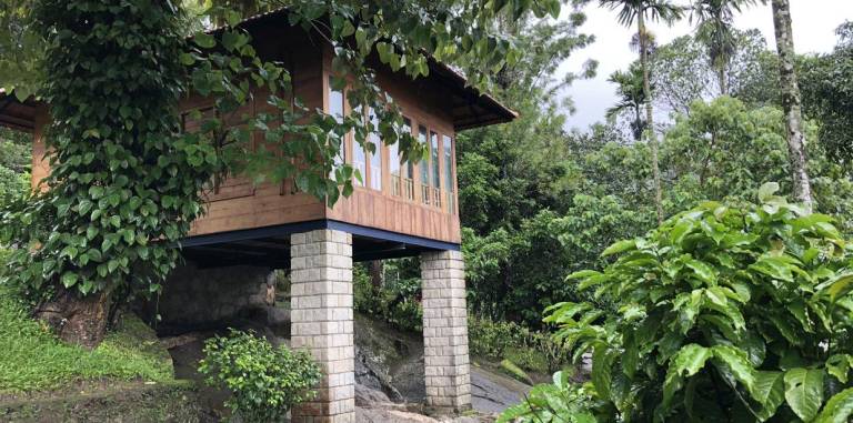 foto41