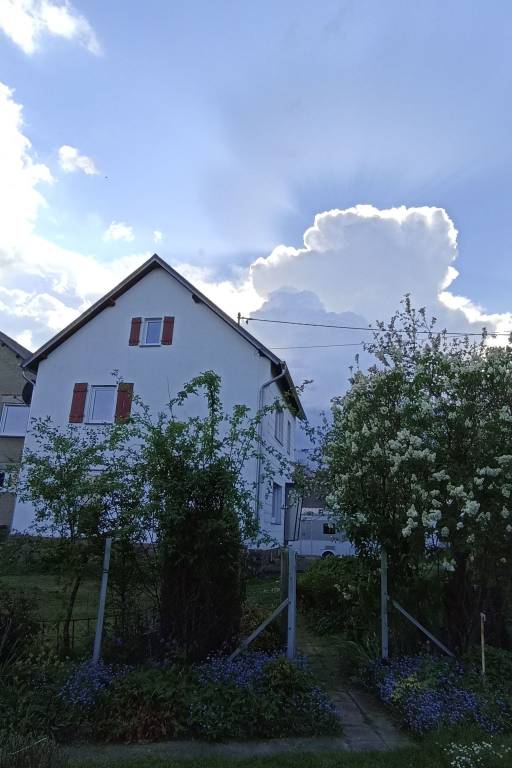 foto28