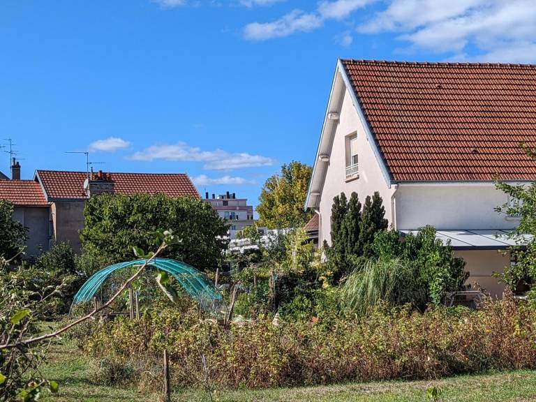 foto22