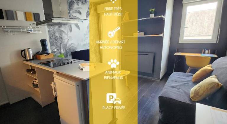 Beautiful holiday apartment | Pet-friendly in Chinon