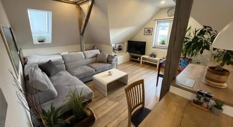 Rental apartment with garden & terrace in Cesky Krumlov