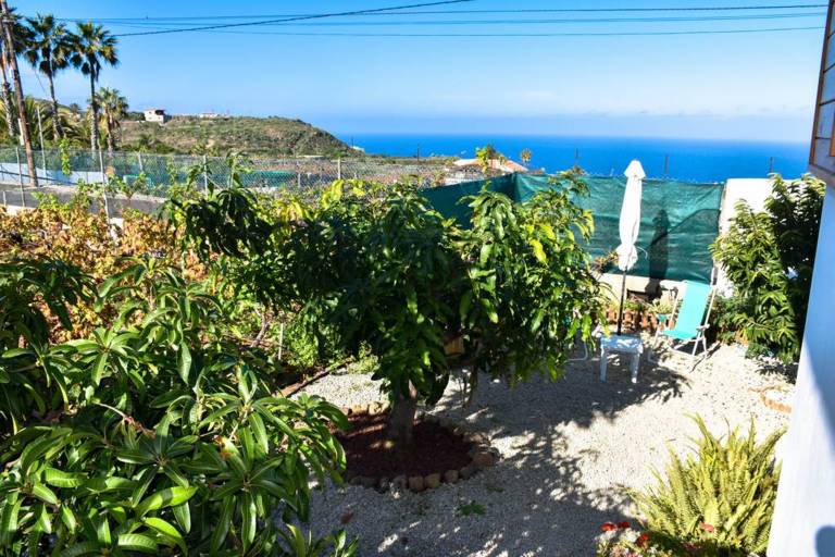 Casa  La Guancha
