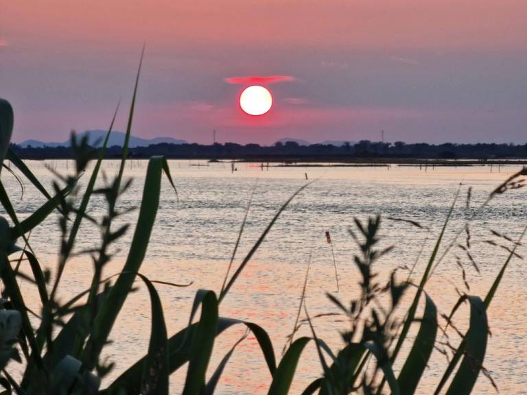 Villa Isola Albarella