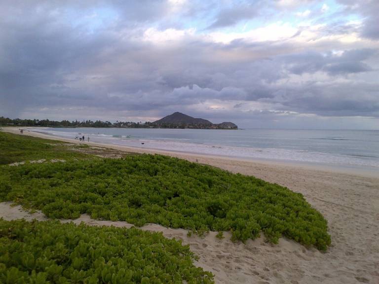 House Kailua