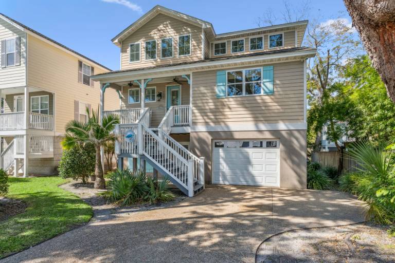 The Turtles Nest - 1067 College Street — photo 2