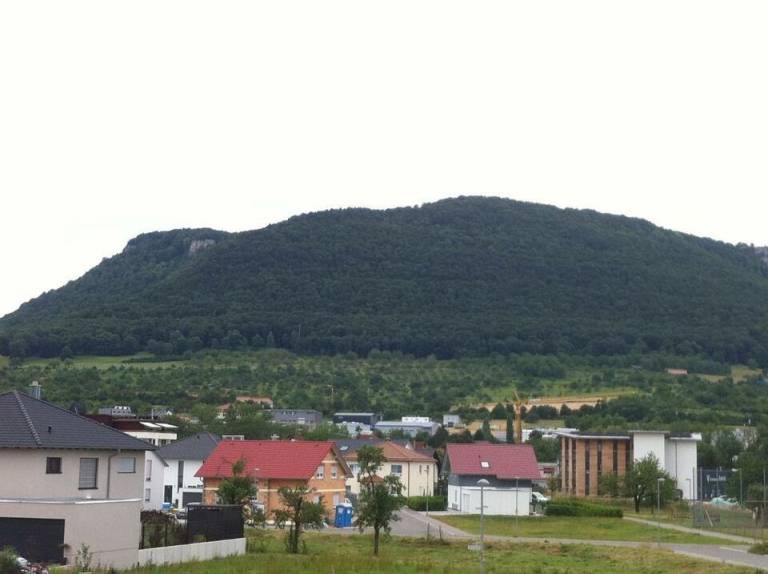 foto11
