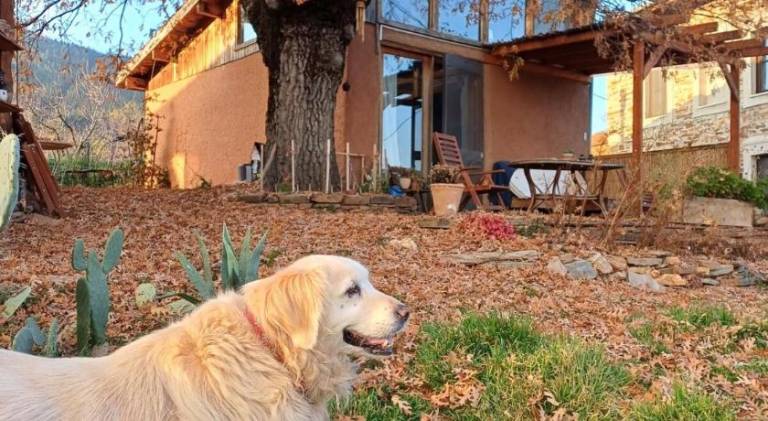 Pleasant vacation home with garden | Dogs allowed in Menderes