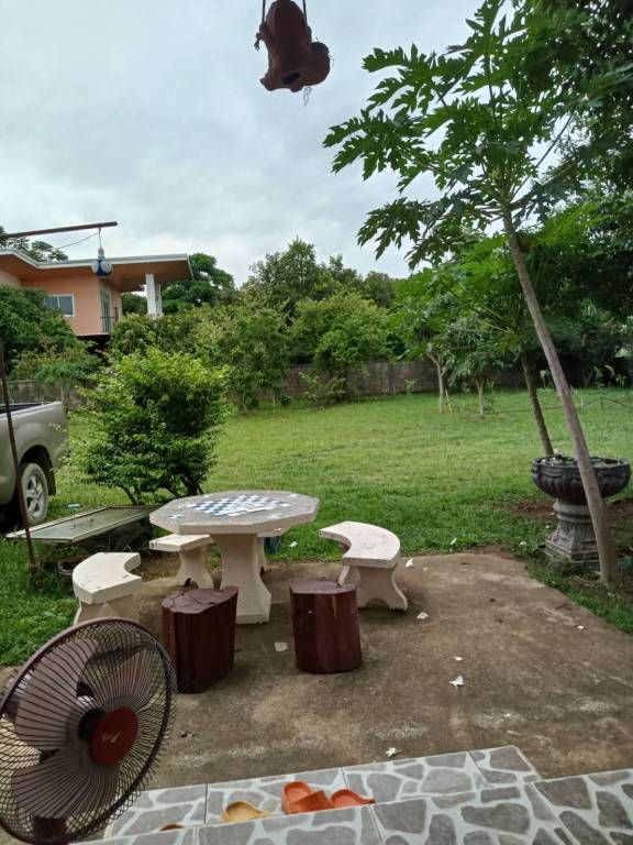 Vacation home with garden | Dogs allowed — photo 4
