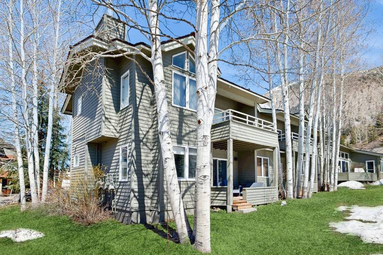 Condo Crested Butte