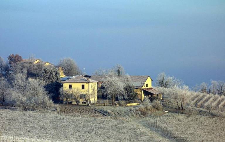 Camera privata Vignale Monferrato