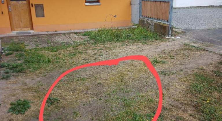 foto11