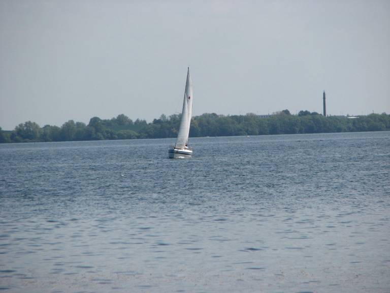 foto31