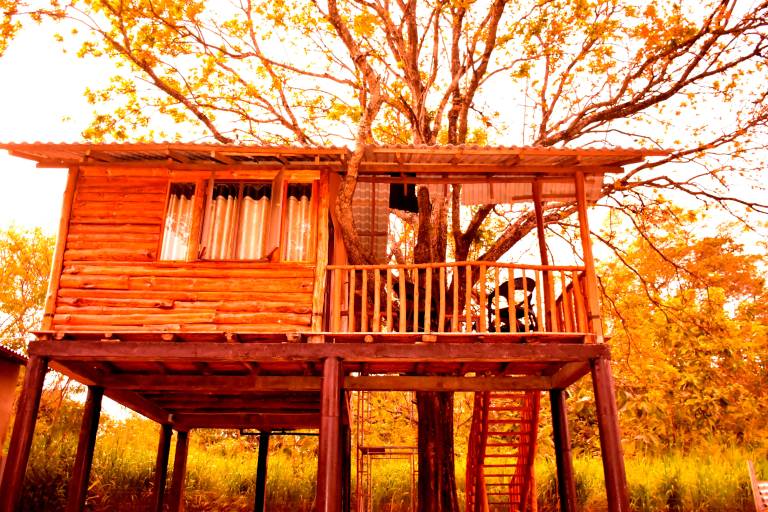 Tree House 4 Nature Lovers