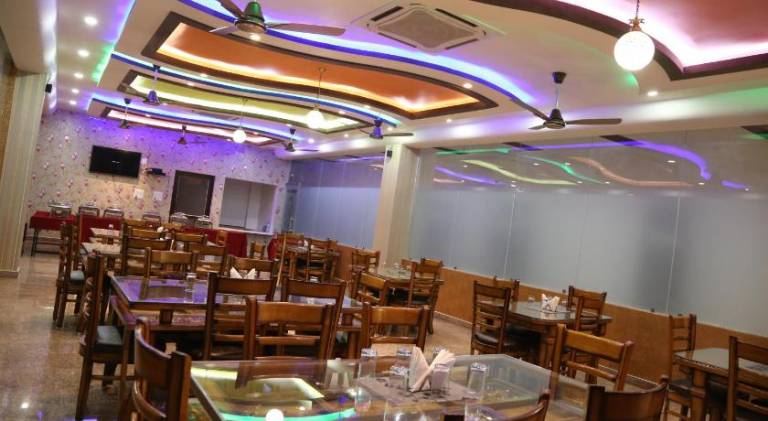 Hotel Dhanraj Palace — photo 5