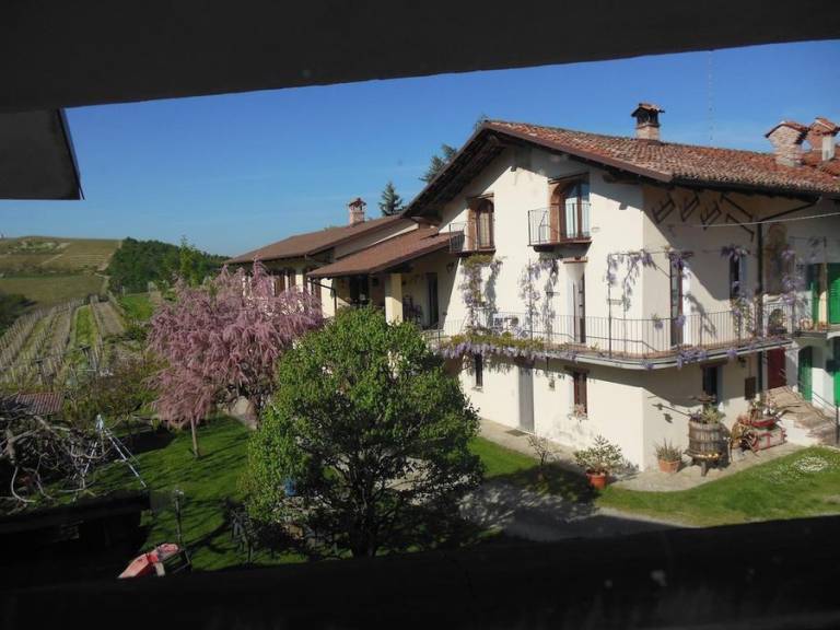 foto19