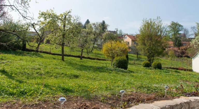 foto40