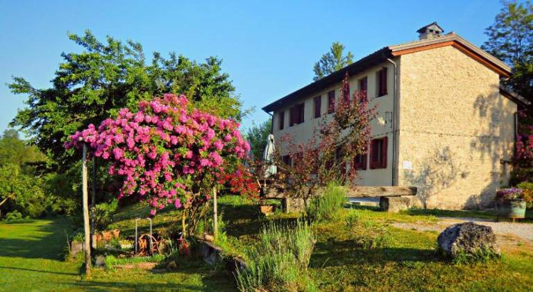 Farm with terrace, garden & barbeque — photo 2