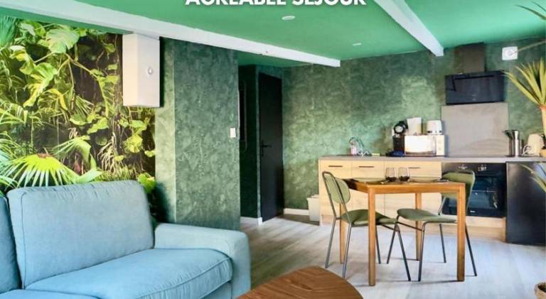 Beautiful holiday apartment | Pets allowed in Douai